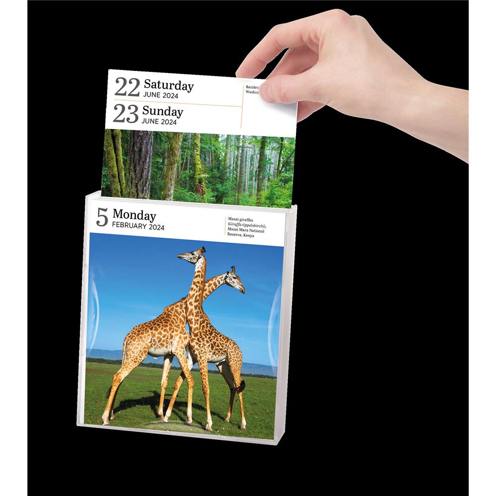 Audubon Nature Gallery 2024 Box Calendar