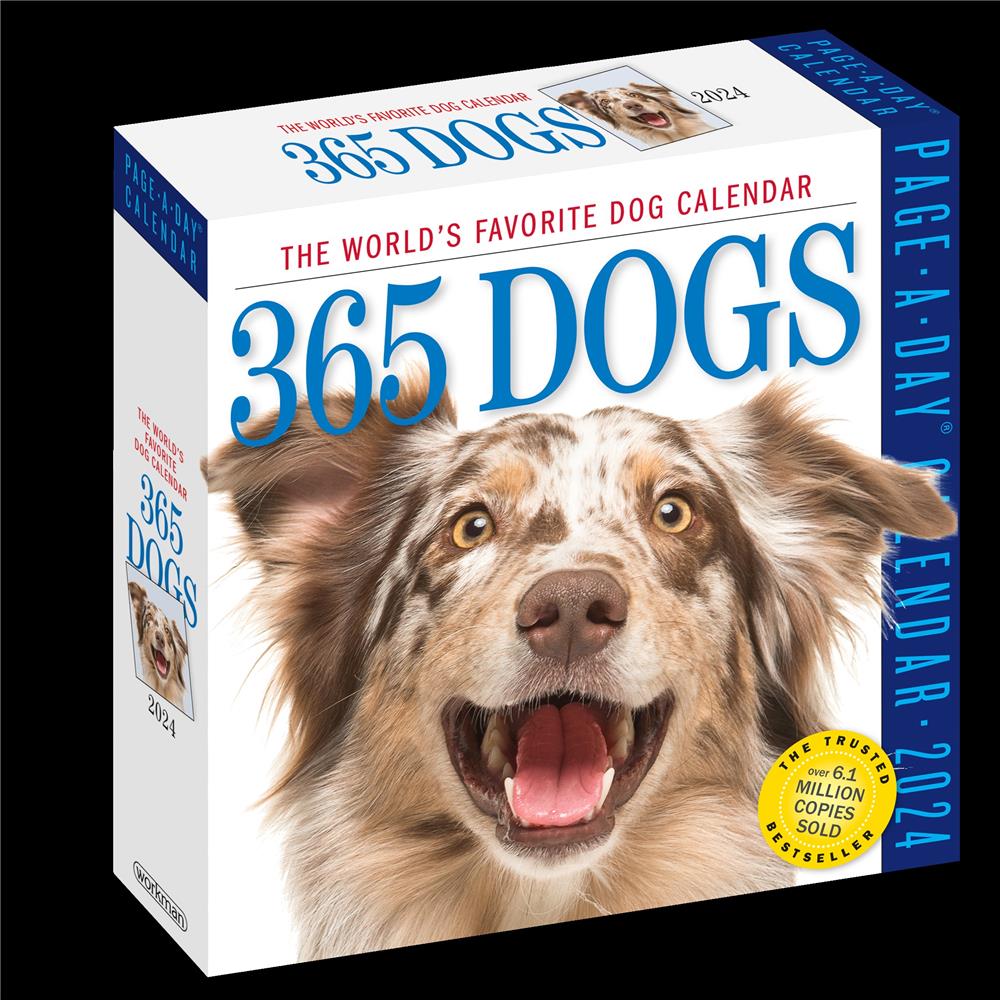 Dogs 365 2024 Box Calendar
