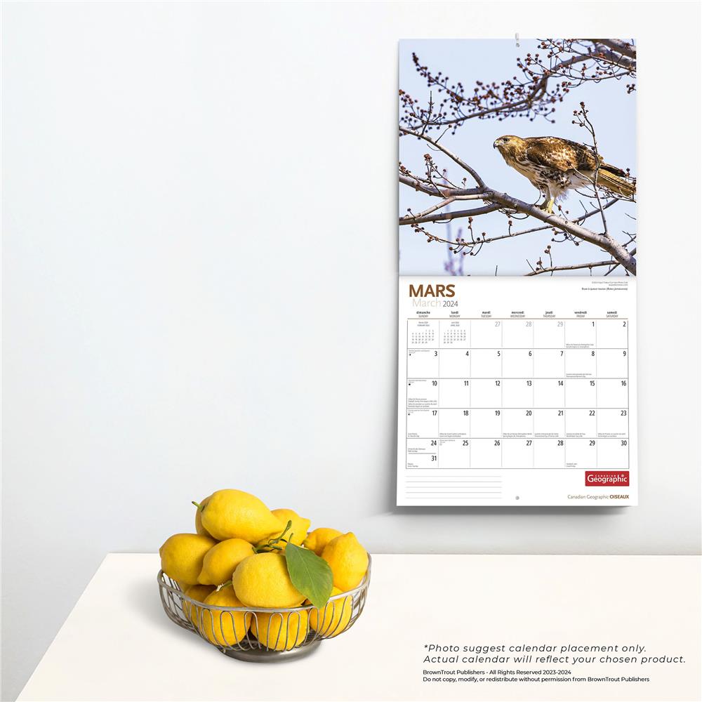 Wyman Publishing Oiseaux Birds Can Geo 2024 Wall Calendar (French)