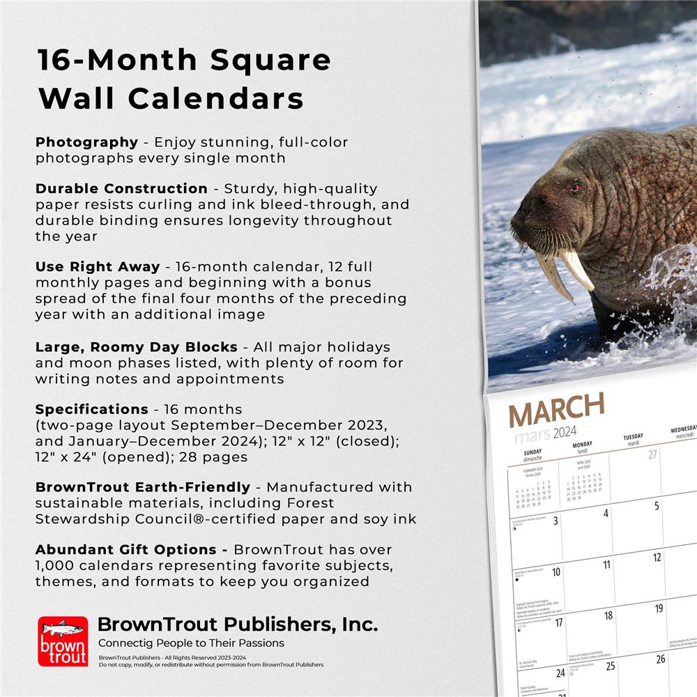 Can Geo Wildlife 2024 Wall Calendar product image