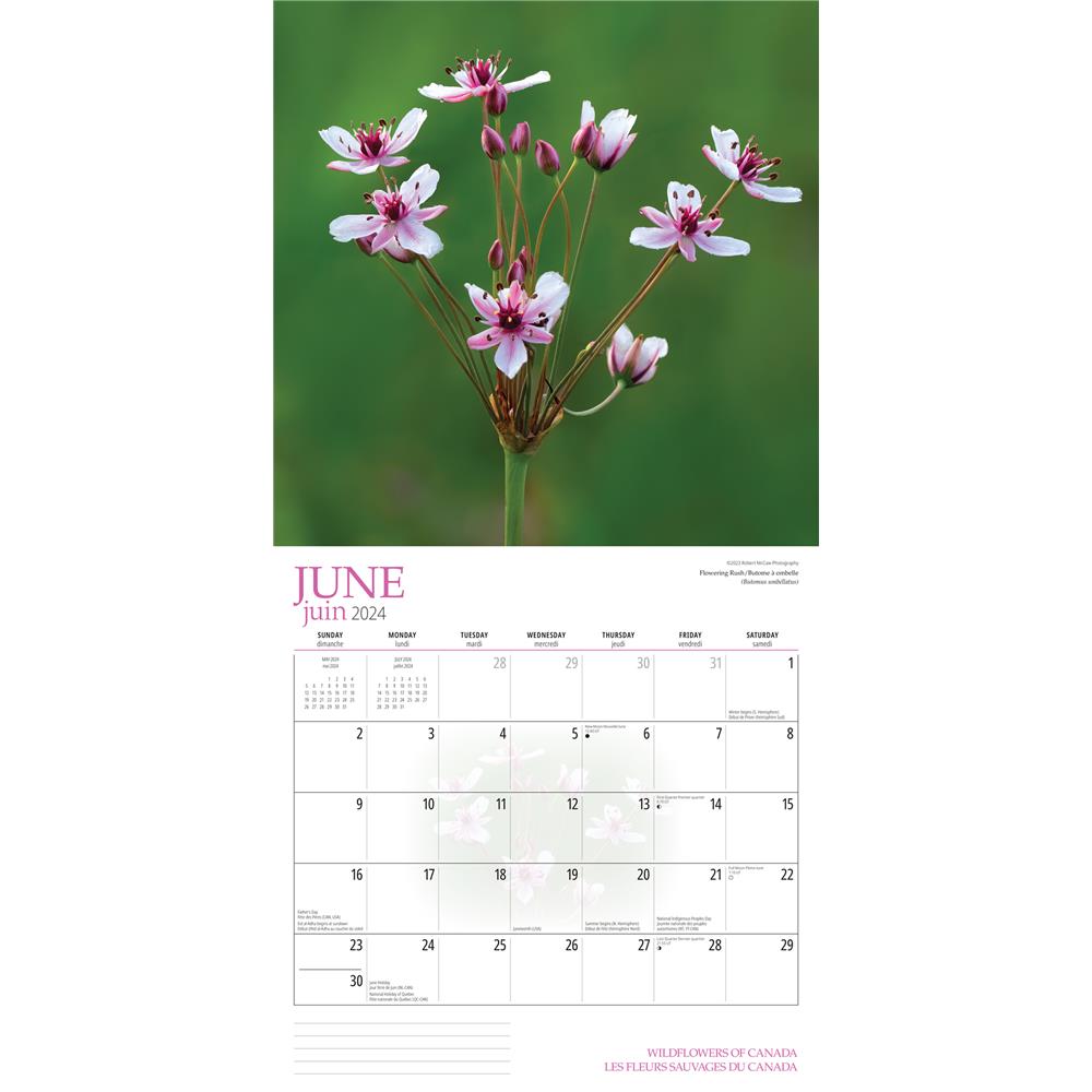 Wildflowers of Canada 2024 Wall Calendar product image