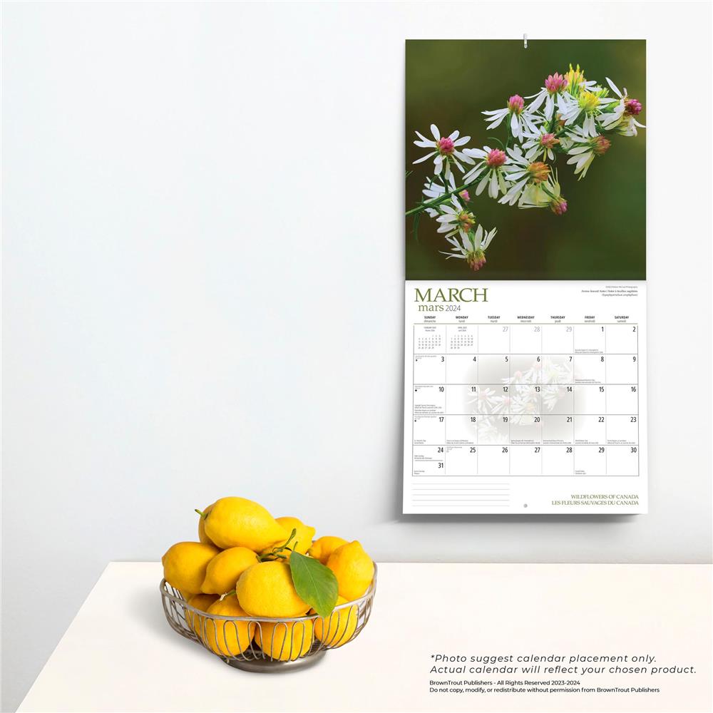 Wildflowers of Canada 2024 Wall Calendar product image