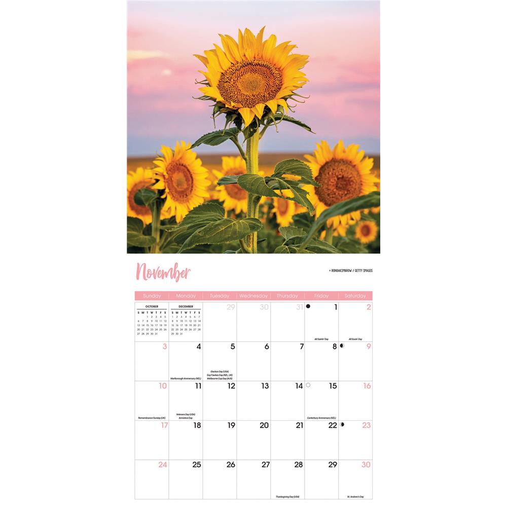 Sunflowers 2024 Wall Calendar product image