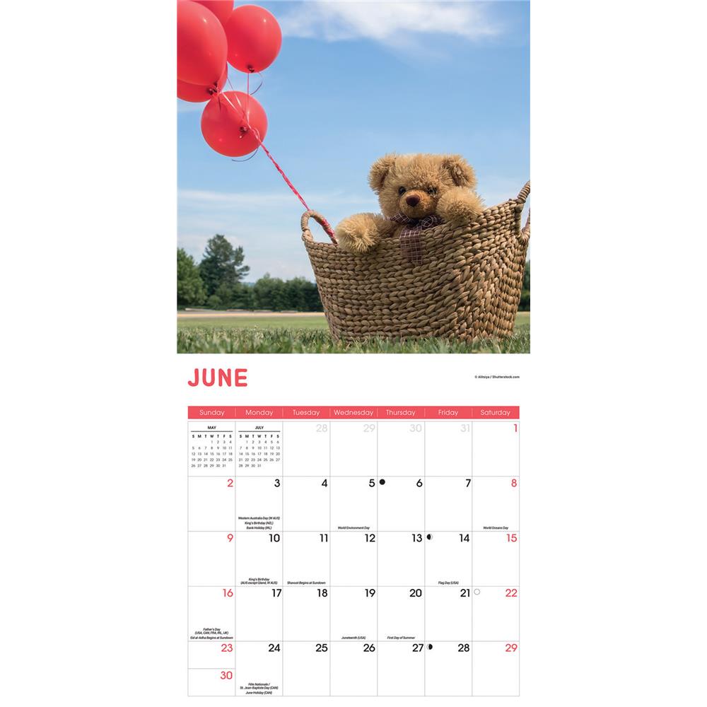 Teddy Bears 2024 Wall Calendar product image
