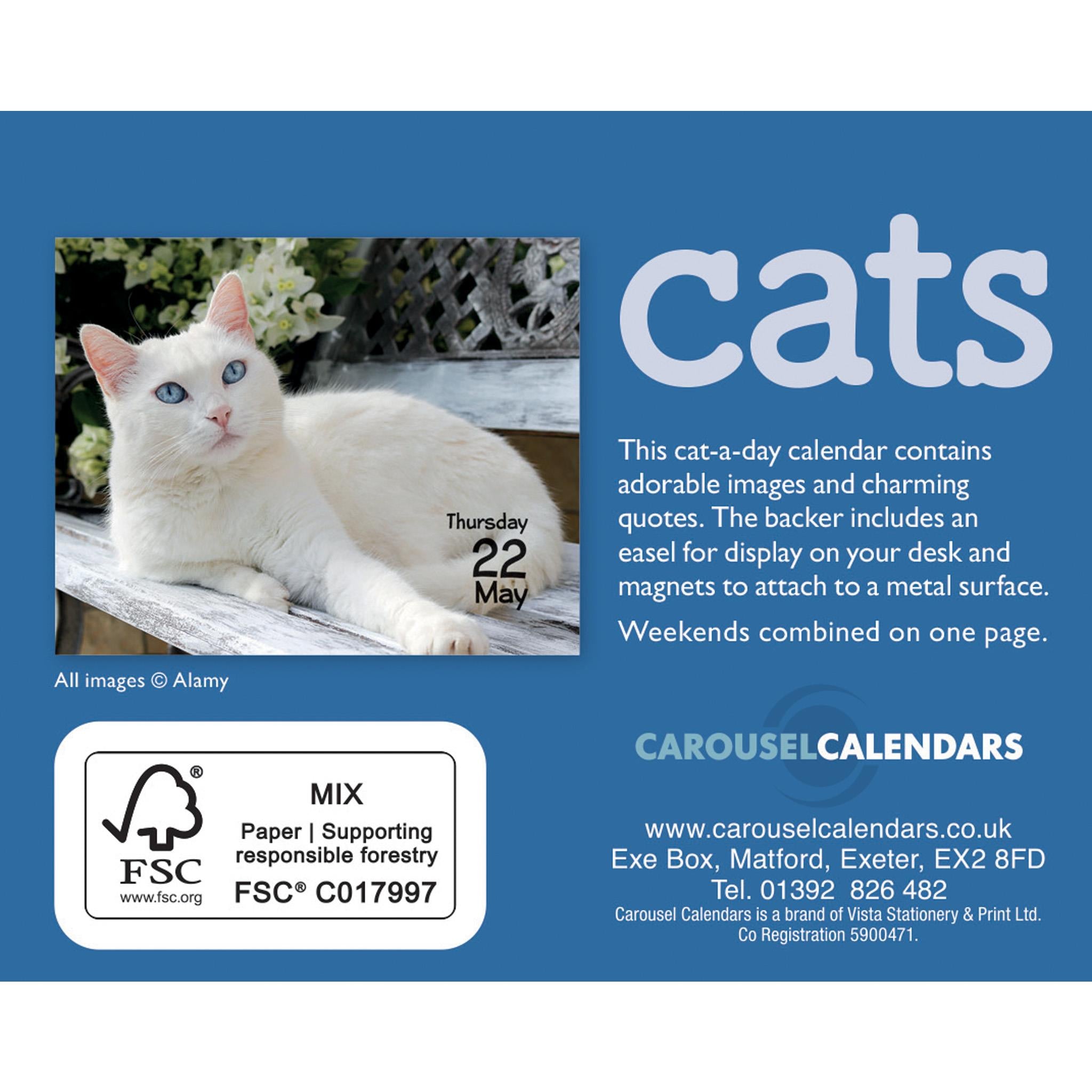 Cats Small Box 2025 Calendar
