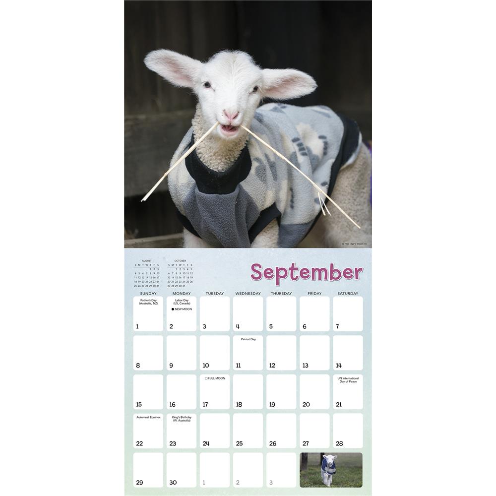Lambies in Jammies and Goats in Coats 2024 Wall Calendar