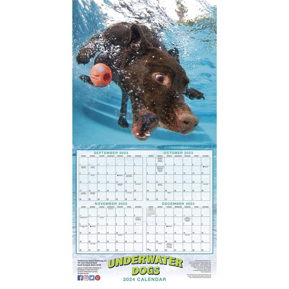 Underwater Dogs 2024 Wall Calendar