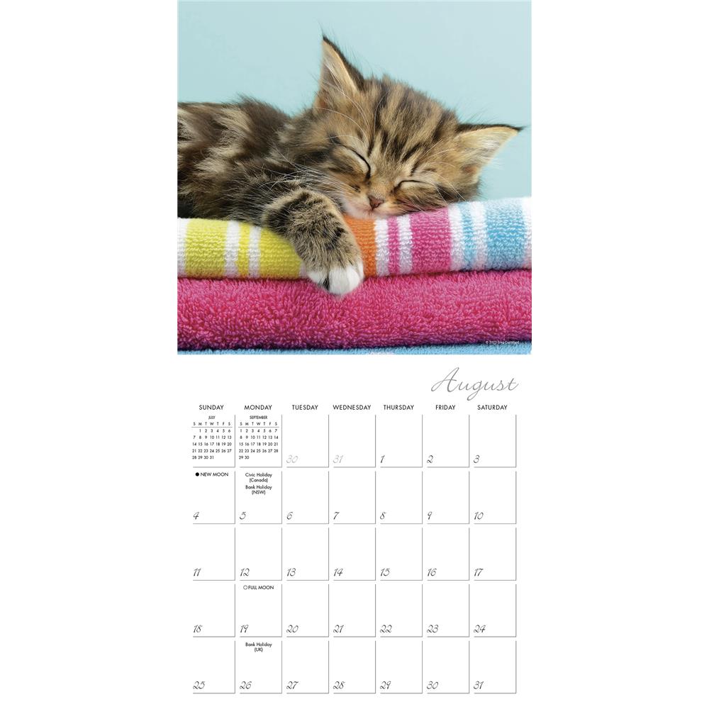Cat Naps 2024 Mini Calendar