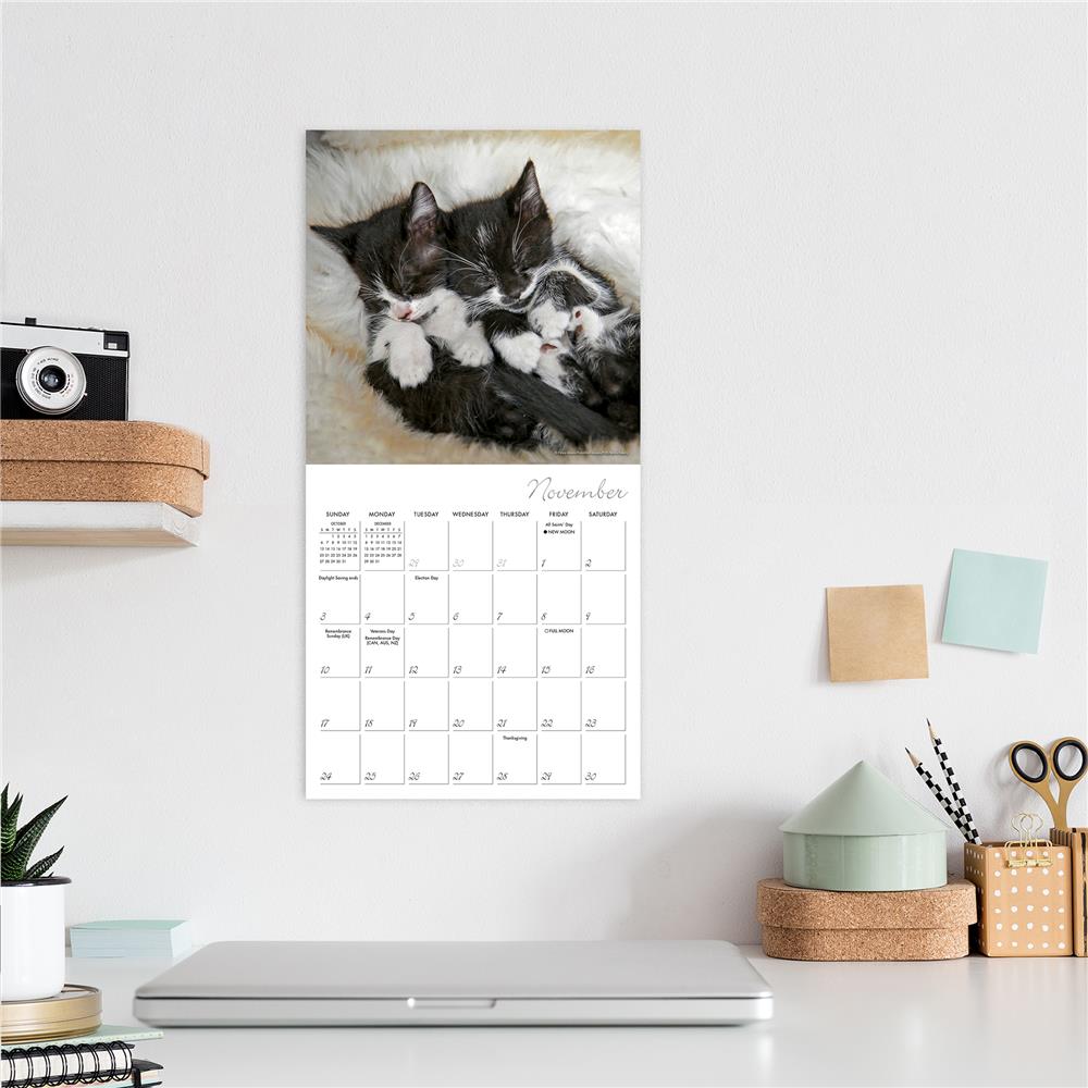 Cat Naps 2024 Mini Calendar