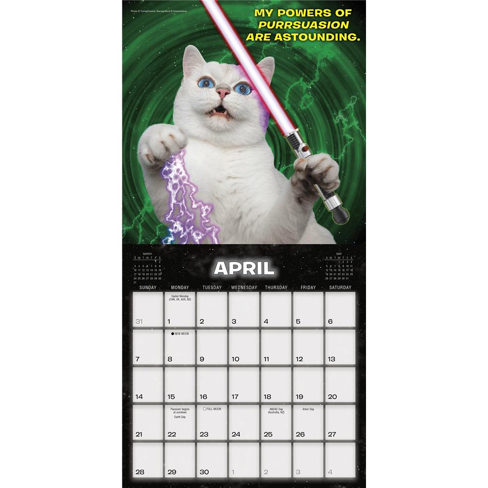 Cat Wars 2024 Mini Calendar