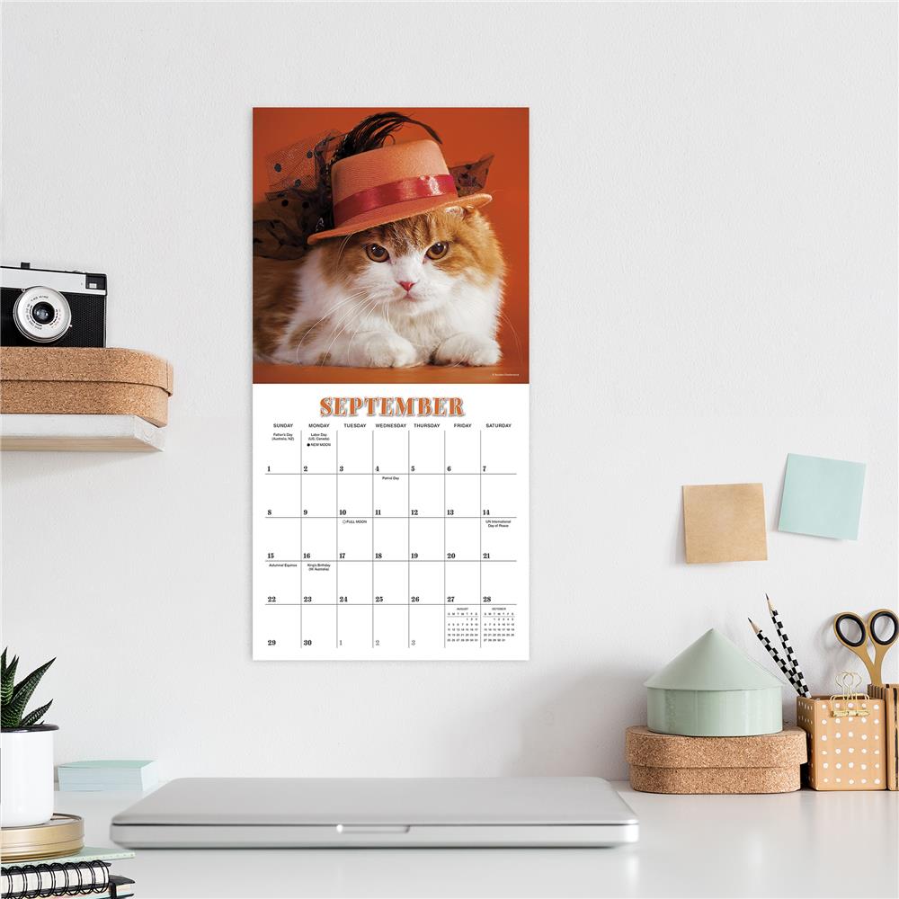 Cats in Hats 2024 Mini Calendar