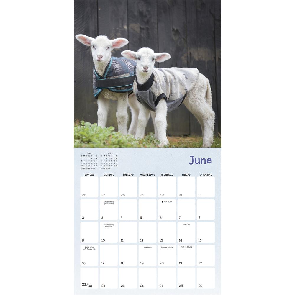 Lambies in Jammies and Goats in Coats 2024 Mini Calendar