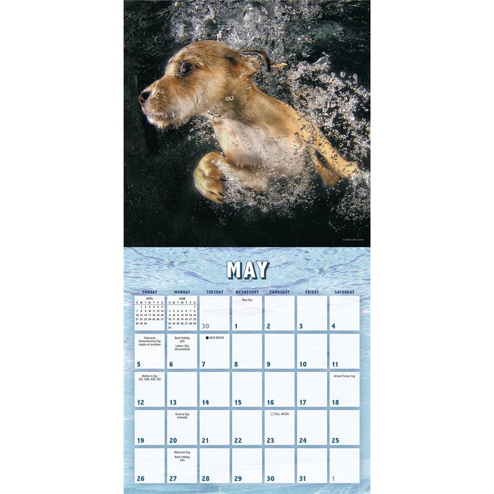 Underwater Puppies 2024 Mini Calendar