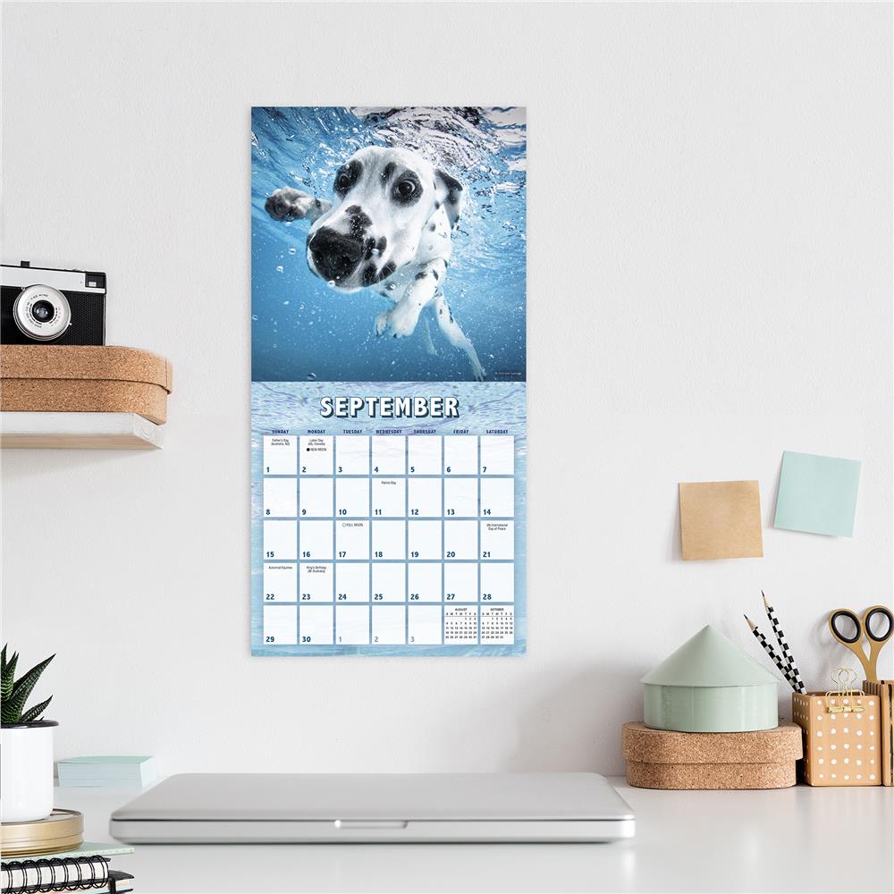 Underwater Puppies 2024 Mini Calendar