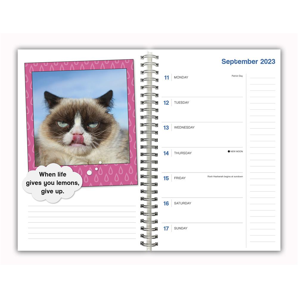 Grumpy Cat 2024 Engagement Calendar product image