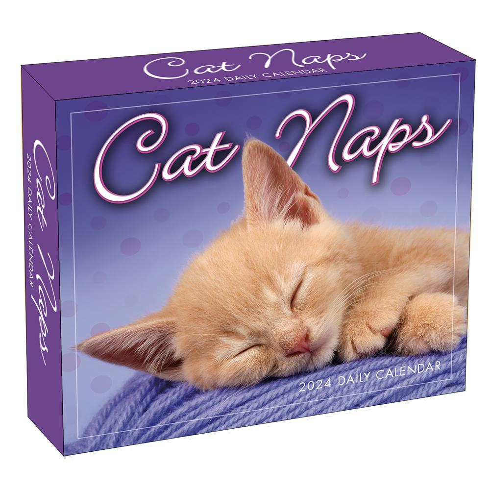 Cat Naps 2024 Box Calendar
