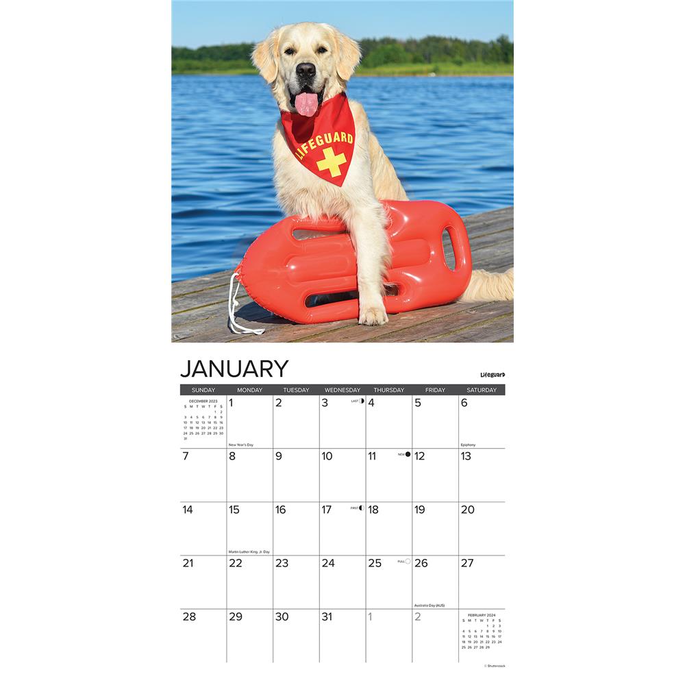12 Uses for Goldens 2024 Wall Calendar - Online Exclusive