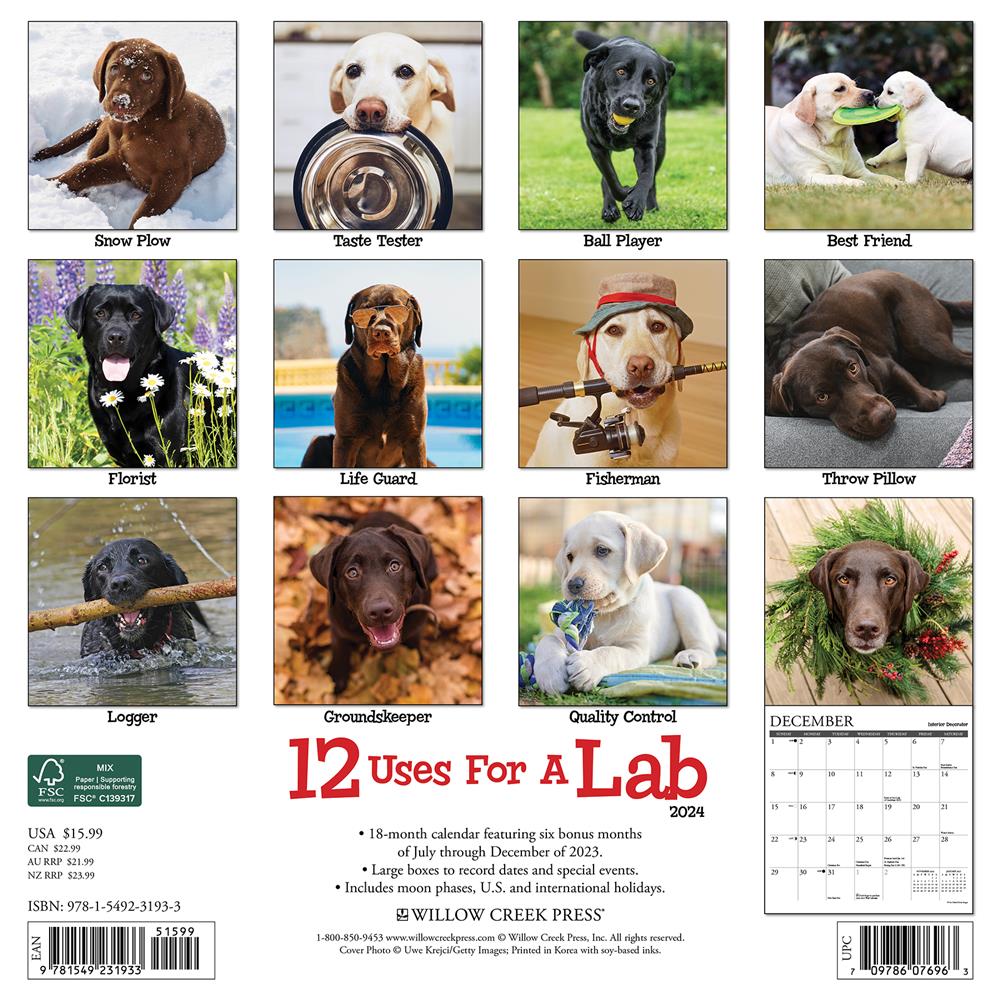 12 Uses for Labs 2024 Wall Calendar