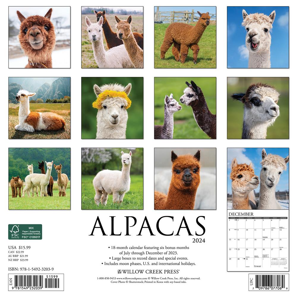 Alpacas 2024 Wall Calendar