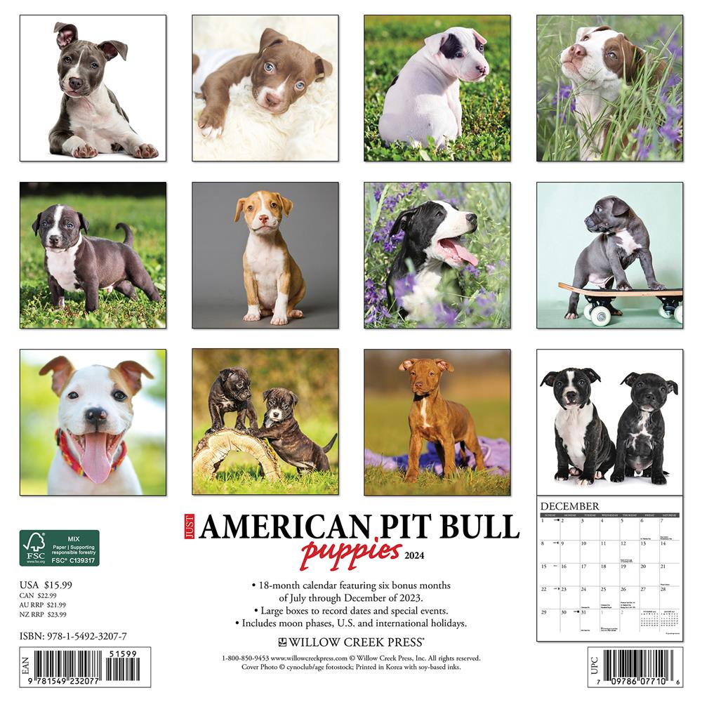 Just American Pit Bull Terrier Puppies 2024 Wall Calendar