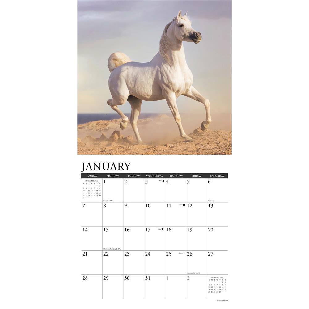 Arabians 2024 Wall Calendar