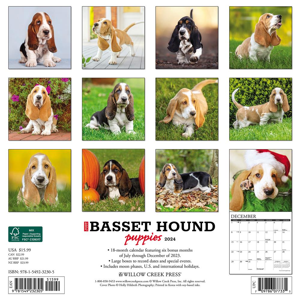 Just Basset Hound Puppies 2024 Wall Calendar