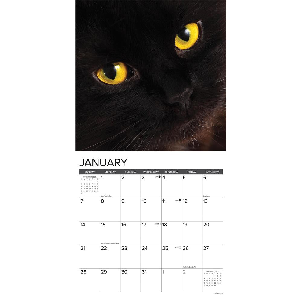 Just Black Cats 2024 Wall Calendar
