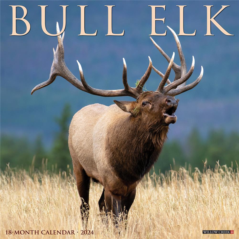 Bull Elk 2024 Wall Calendar
