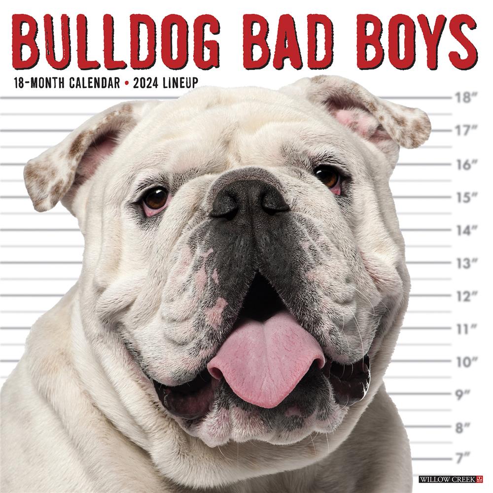 Bulldog Bad Boys 2024 Wall Calendar