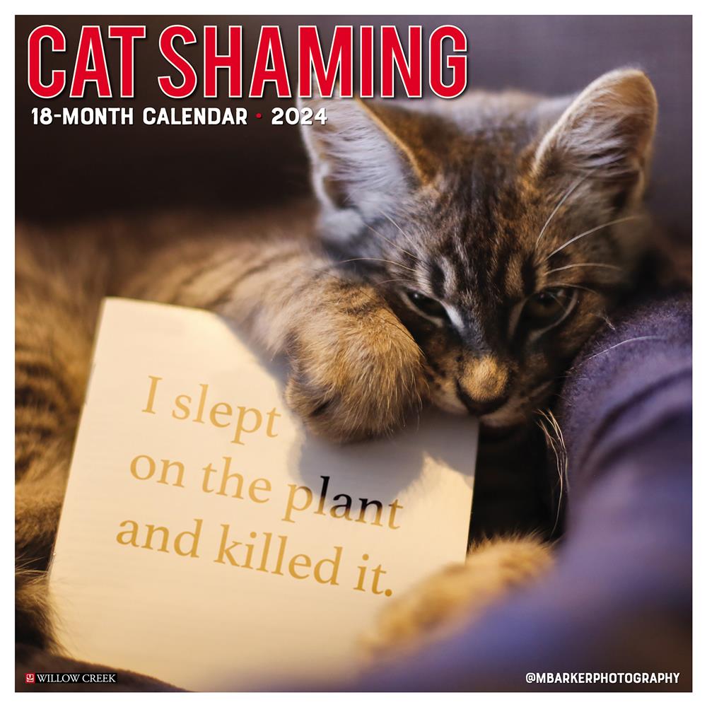 Cat Shaming 2024 Wall Calendar