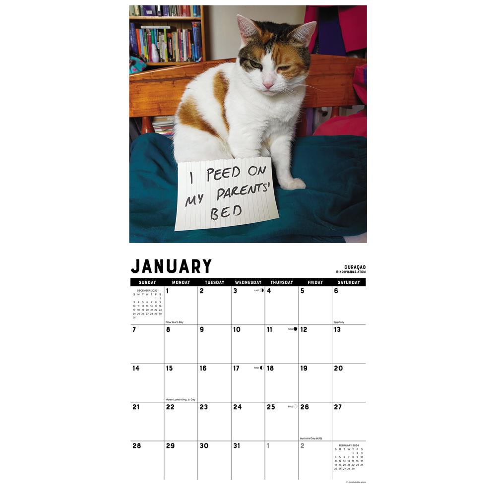 Cat Shaming 2024 Wall Calendar