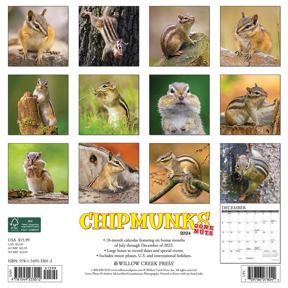 Chipmunks Gone Nuts 2024 Wall Calendar