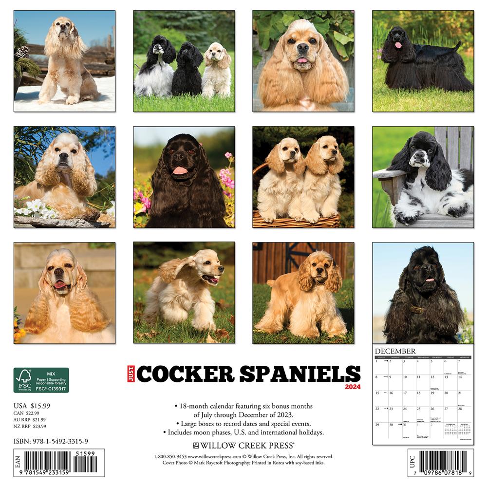 Just Cocker Spaniels 2024 Wall Calendar