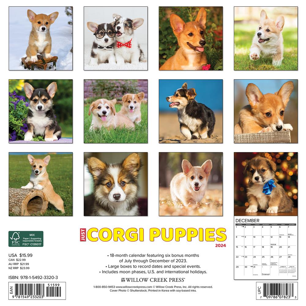 Just Corgi Puppies 2024 Wall Calendar