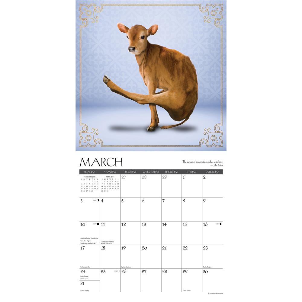 Cow Yoga 2024 Wall Calendar