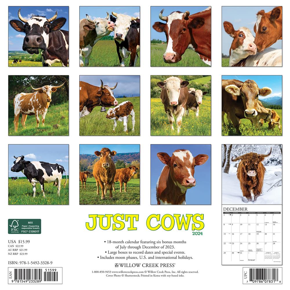 Just Cows 2024 Wall Calendar product image