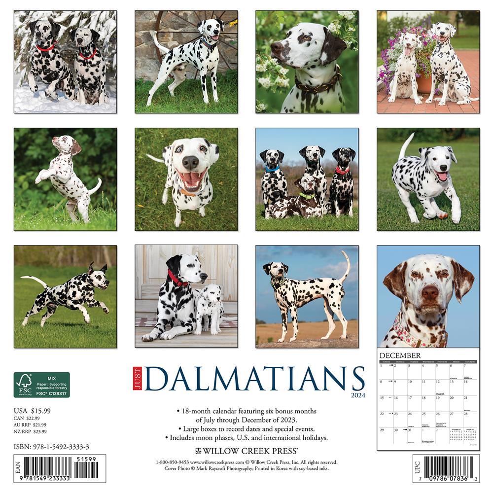 Just Dalmatians 2024 Wall Calendar