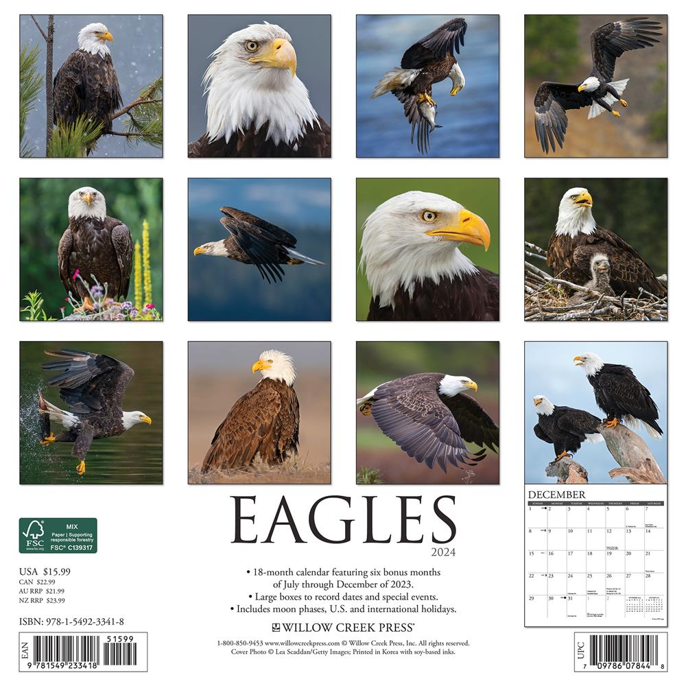 Eagles 2024 Wall Calendar - Online Exclusive