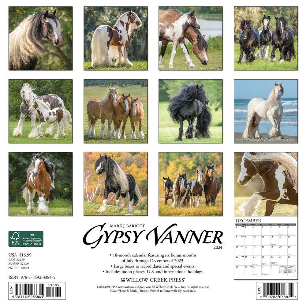 Gypsy Vanner Horse 2024 Wall Calendar