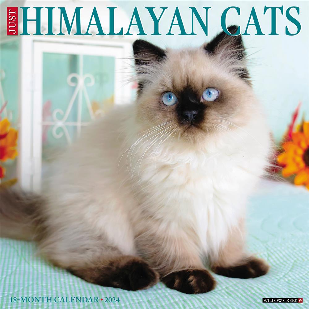 Just Himalayan Cats 2024 Wall Calendar