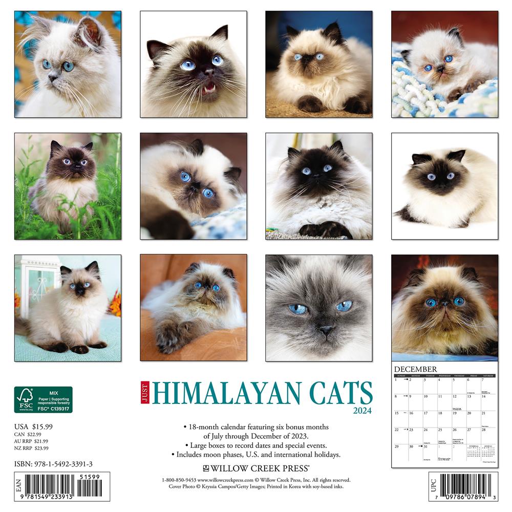 Just Himalayan Cats 2024 Wall Calendar