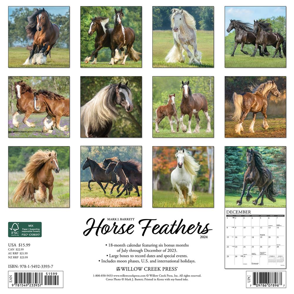 Horse Feathers 2024 Wall Calendar - Online Exclusive