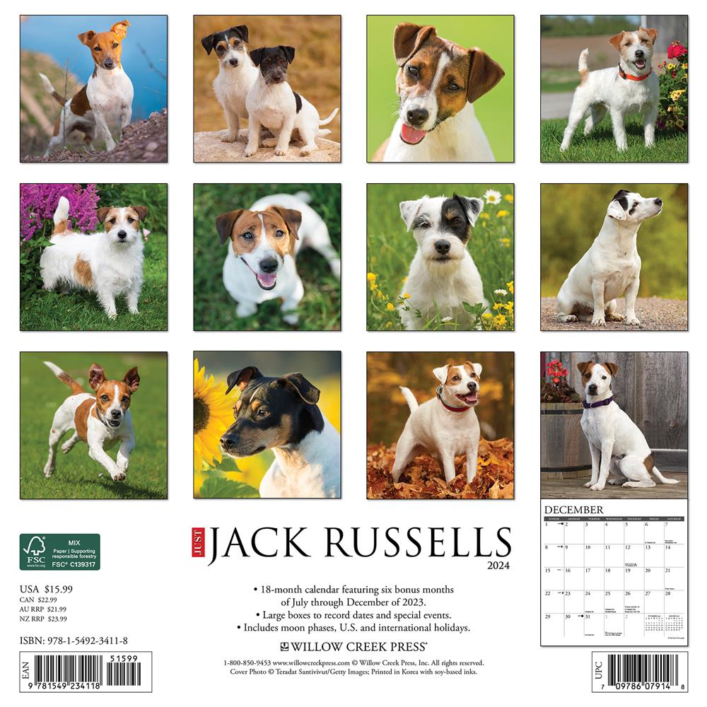 Just Jack Russells 2024 Wall Calendar