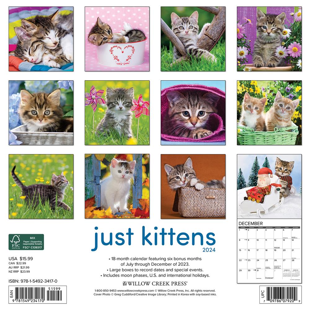 Just Kittens 2024 Wall Calendar