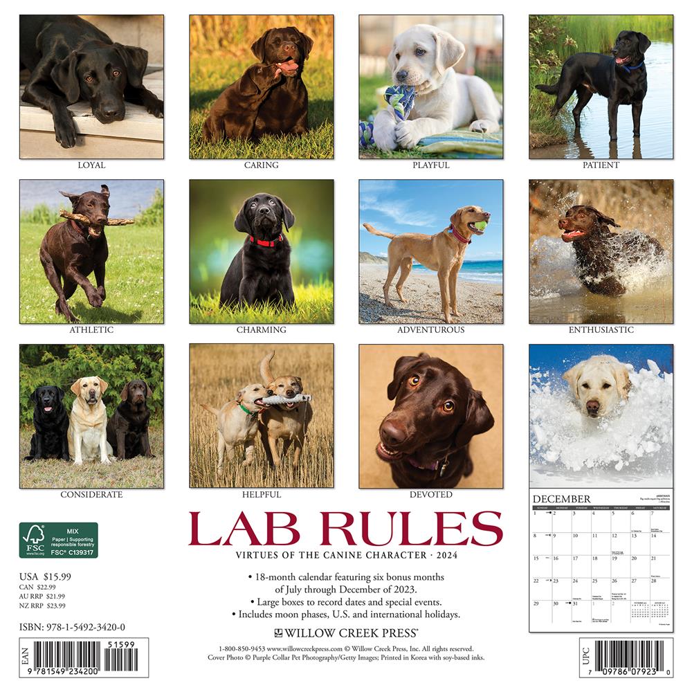 Lab Rules 2024 Wall Calendar - Online Exclusive
