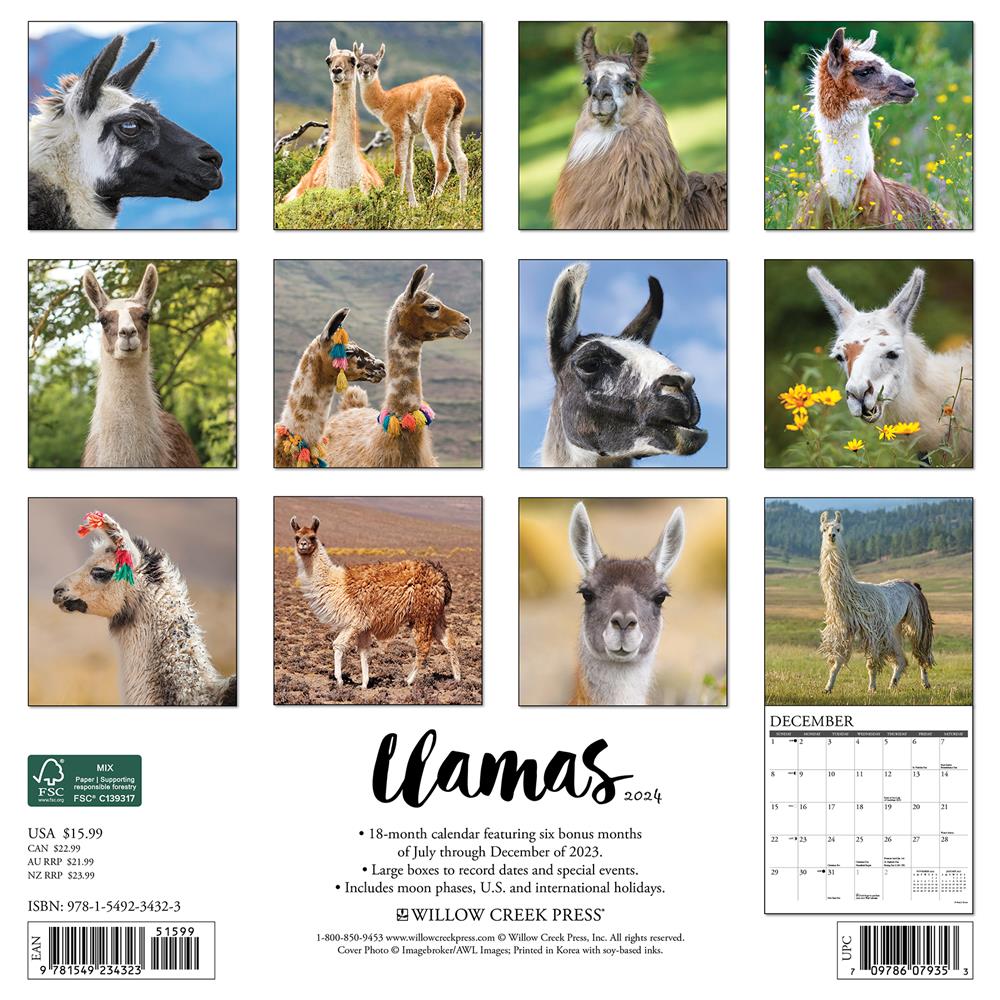 Llamas 2024 Wall Calendar