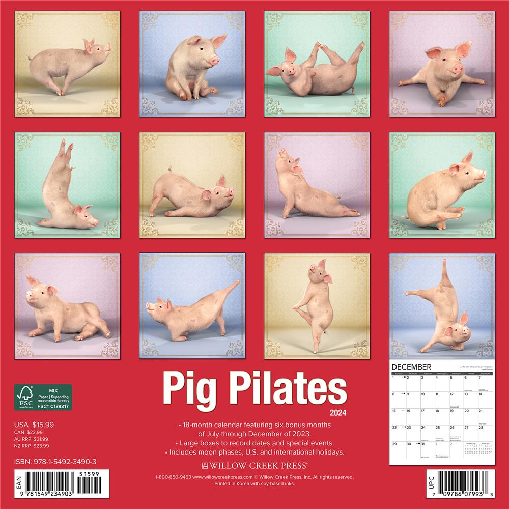 Pig Pilates 2024 Wall Calendar