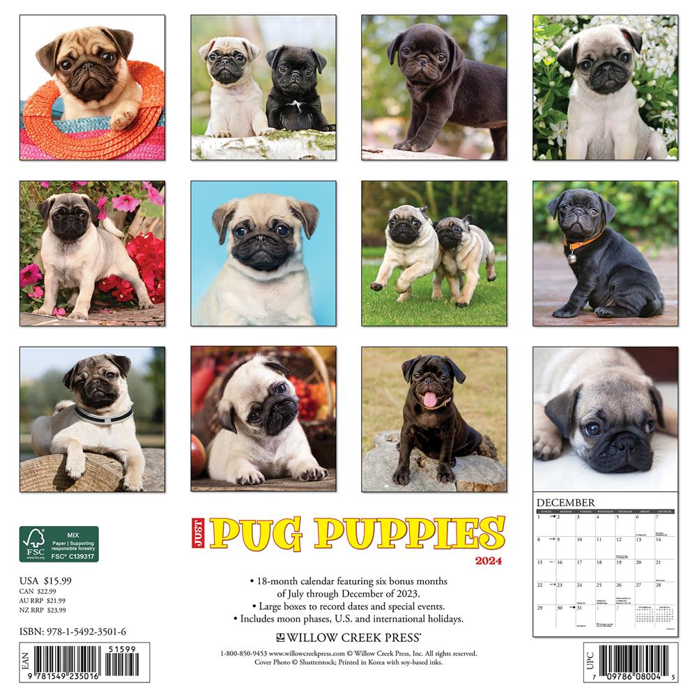 Just Pug Puppies 2024 Wall Calendar