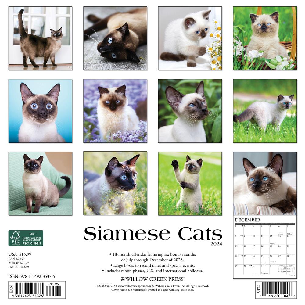 Siamese Cats 2024 Wall Calendar