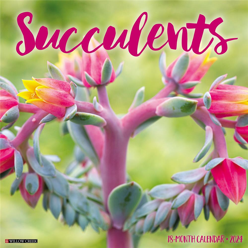 Succulents 2024 Wall Calendar - Online Exclusive